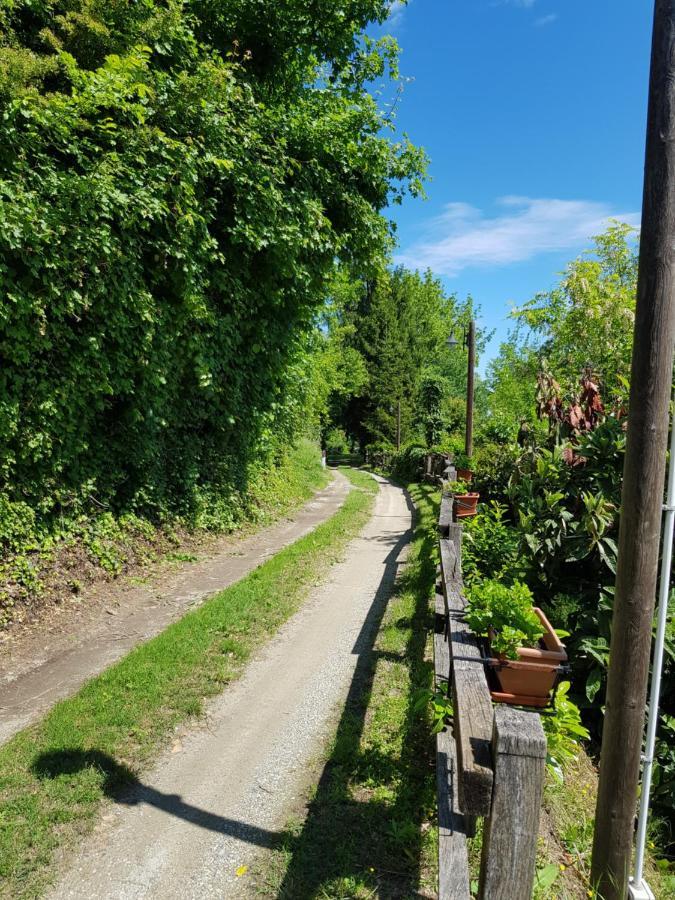 La Collina Dei Passeri Bed & Breakfast Pocapaglia Exterior photo