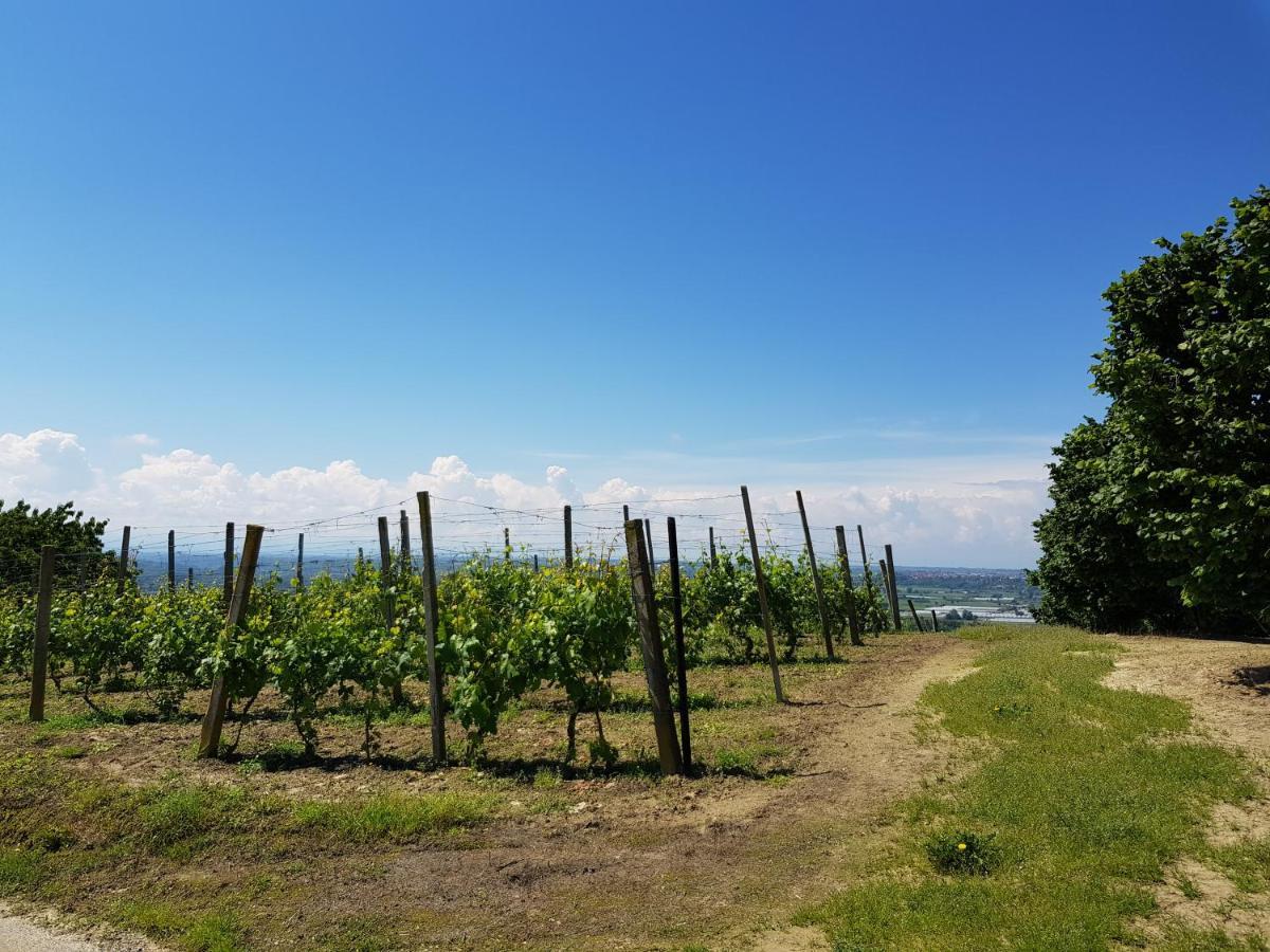 La Collina Dei Passeri Bed & Breakfast Pocapaglia Exterior photo